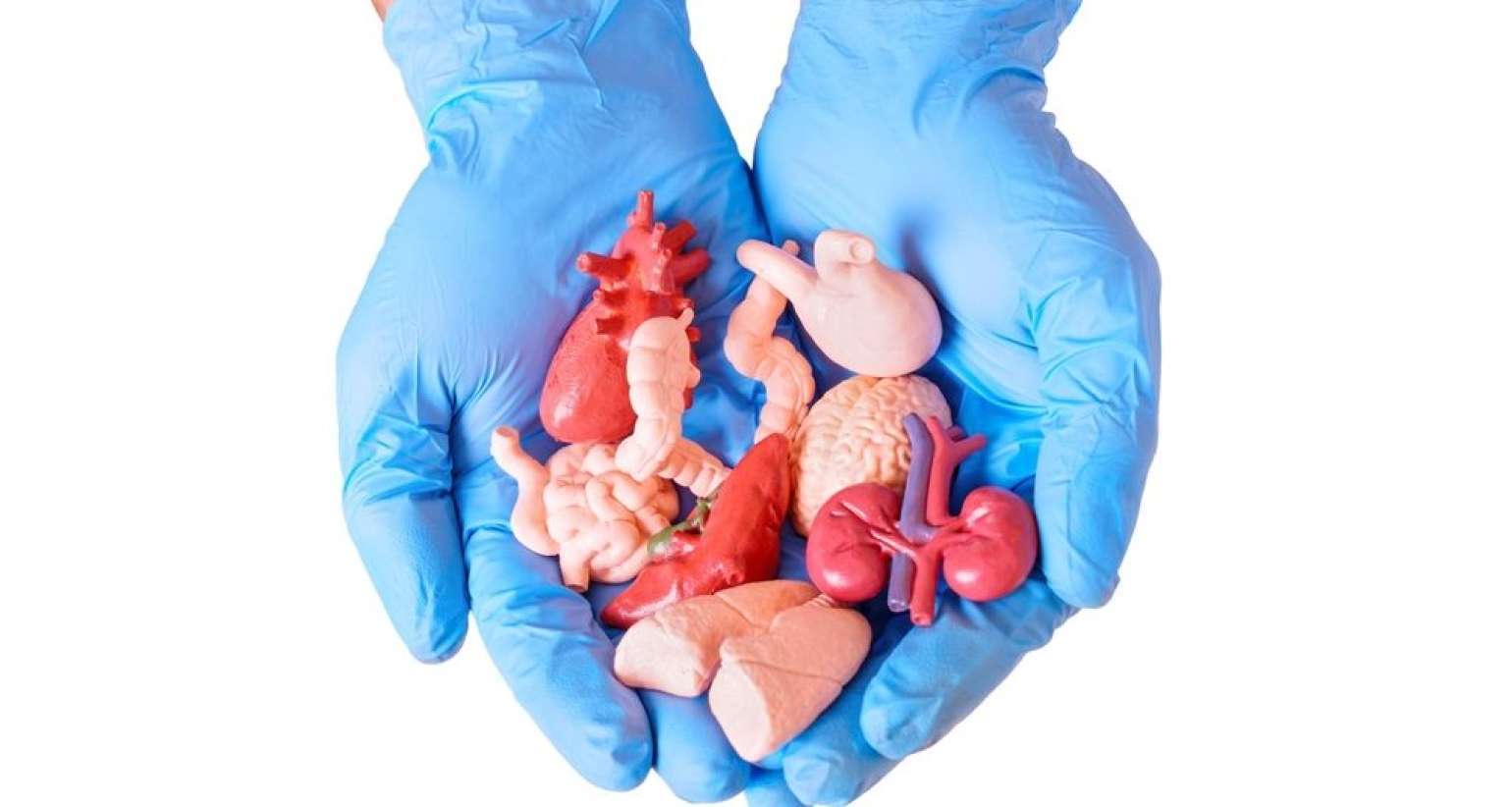 Uğurla transplantasiya olunan    9 orqan