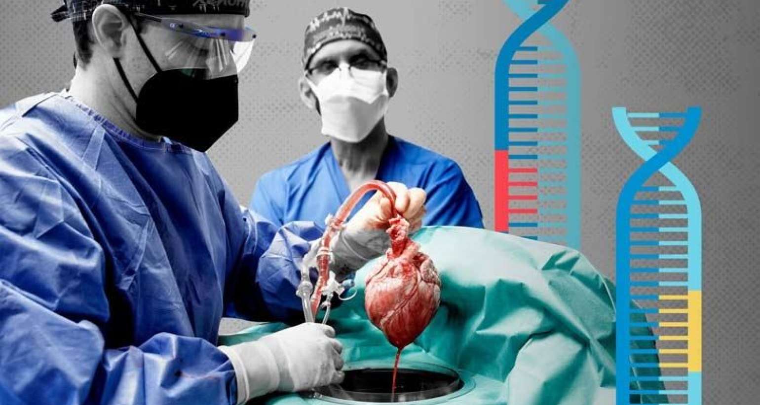 ABŞ xəstəxanalarında dəhşət  – Diri xəstələrin orqanları çıxarılıb