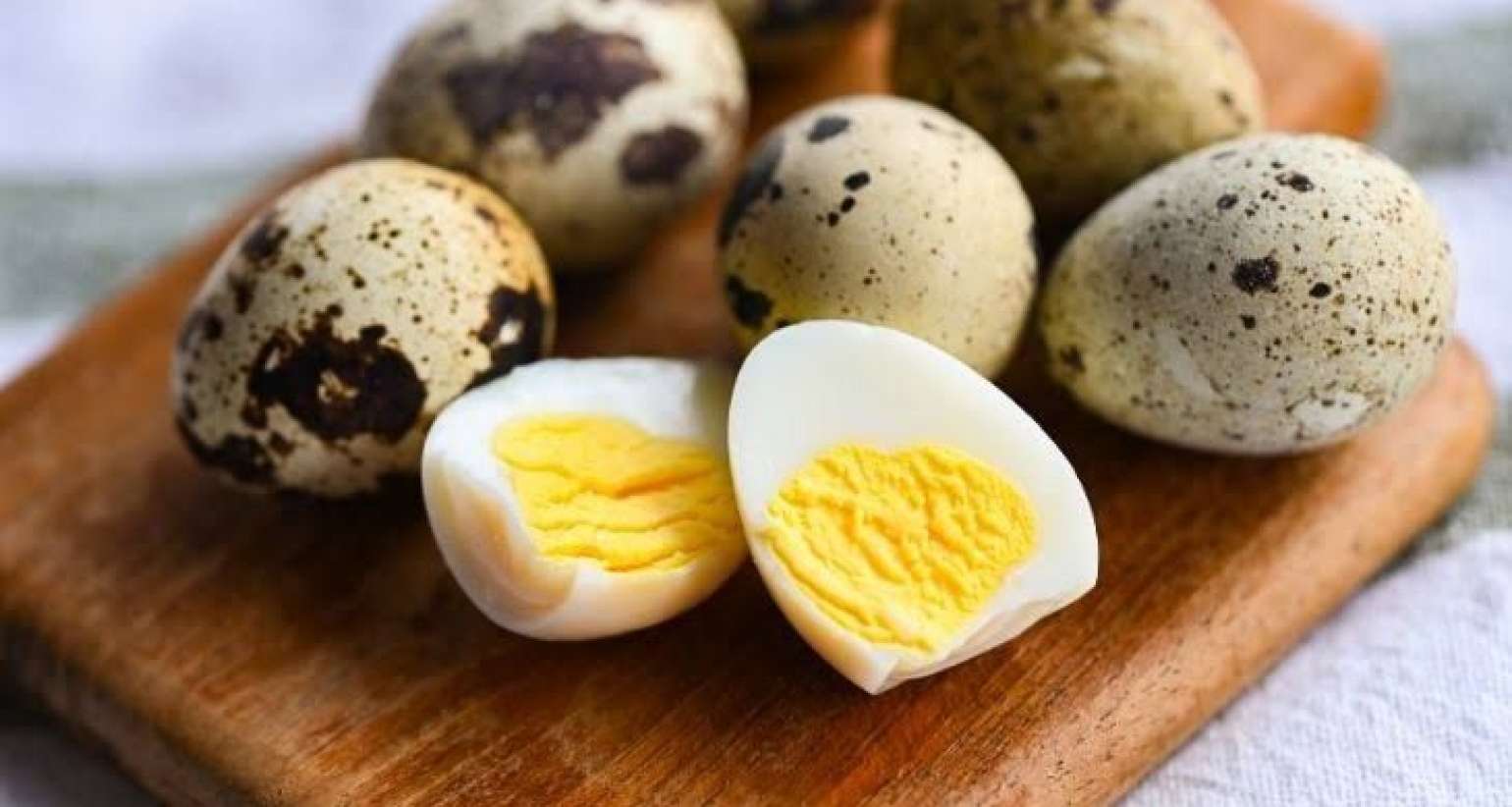 Bildirçin yumurtası uşağın nitqini açır? -  Loqopeddən cavab