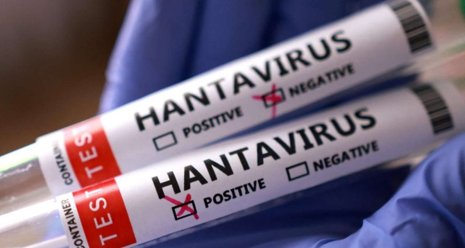Azərbaycanda hantavirusa yoluxma qeydə alınıb? -  Rəsmi