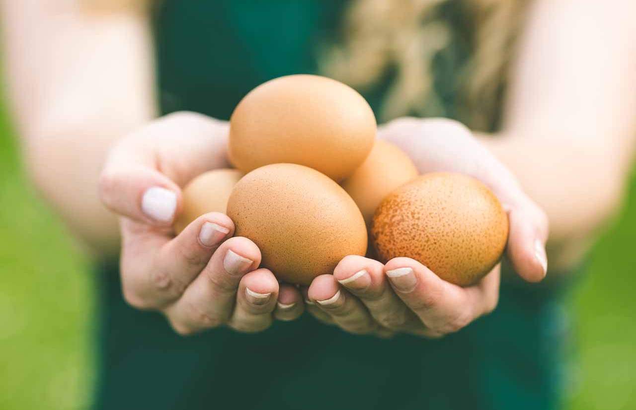 Tonlarla yumurta satışdan yığışdırılır -  Alıcılara XƏBƏRDARLIQ