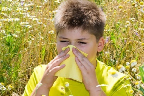 Allergik rinitin yaranma səbəbi nədir? 