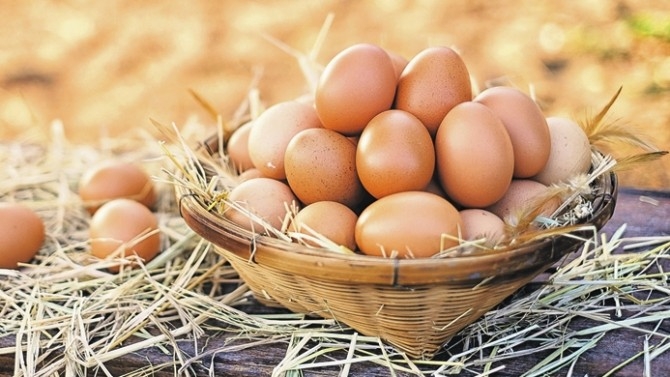 Gündə neçə yumurta yemək faydalıdır? 