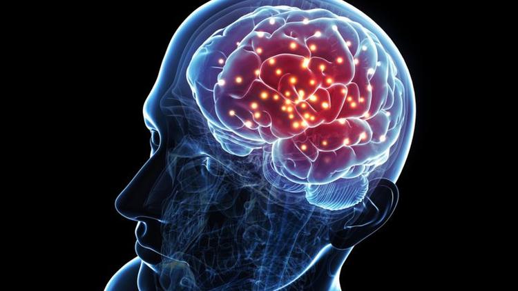 İnsan vücudunda ikinci beyin kəşf edilib 