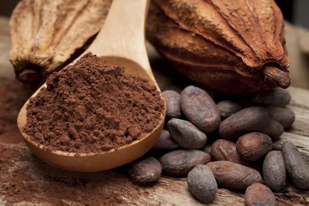 Biz niyə kakao içmirik? –  Orqanizmi canlandırır, xəstəlikləri sağaldır