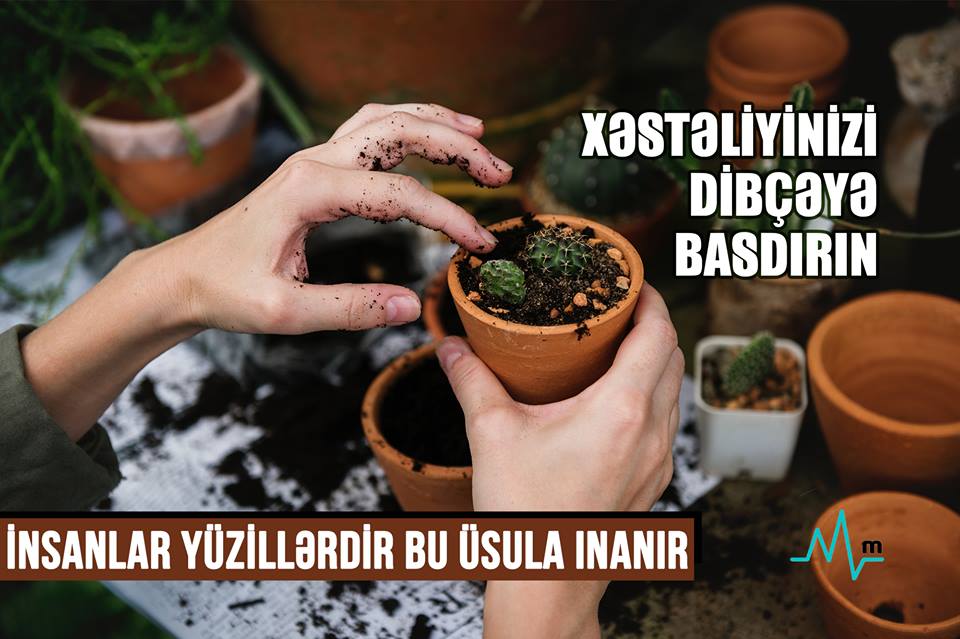  - İnsanlar yüzillərdir bu üsula inanır Xəstəliyinizi dibçəyə basdırın