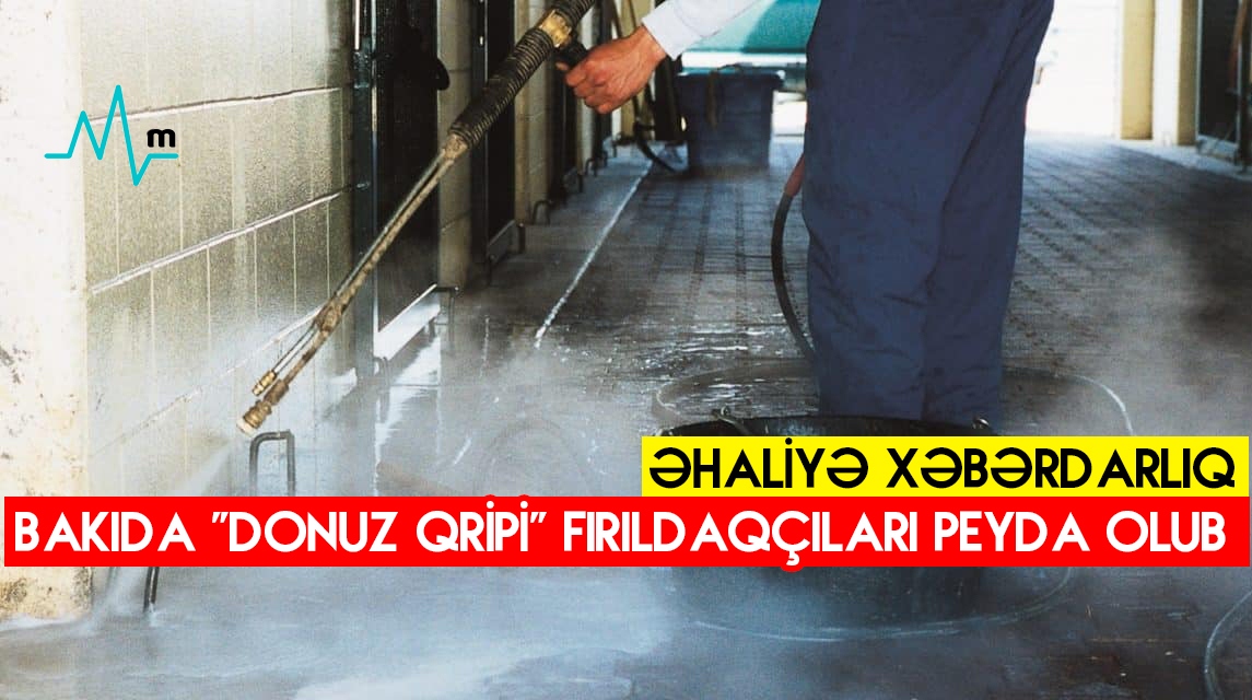 Bakıda “donuz qripi” fırıldaqçıları peyda olub -  Əhaliyə xəbərdarlıq