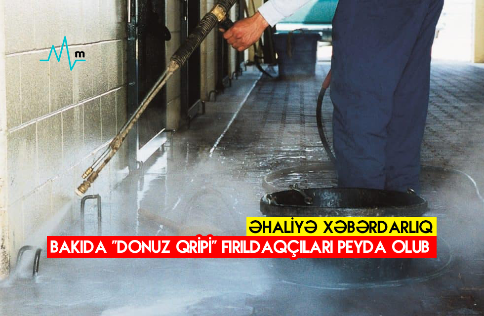 Bakıda “donuz qripi” fırıldaqçıları peyda olub -  Əhaliyə xəbərdarlıq