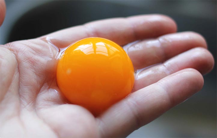 Xolinlə zəngin yumurta sarısını tez-tez qəbul edin –  Nevroloqlardan çağırış