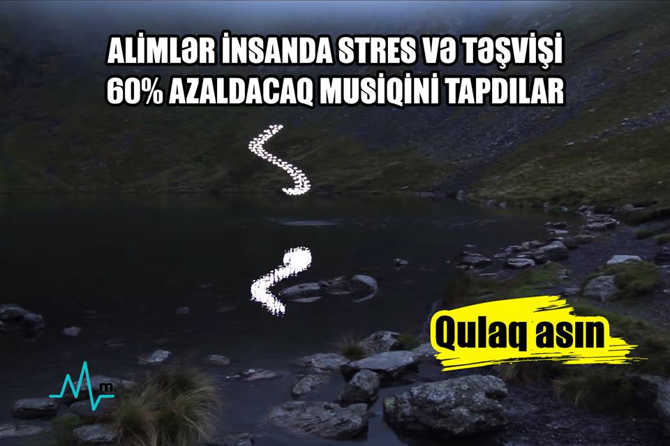 Alimlər insanda stress və təşvişi 60% azaldacaq musiqini tapdılar –  Qulaq asın – VİDEO