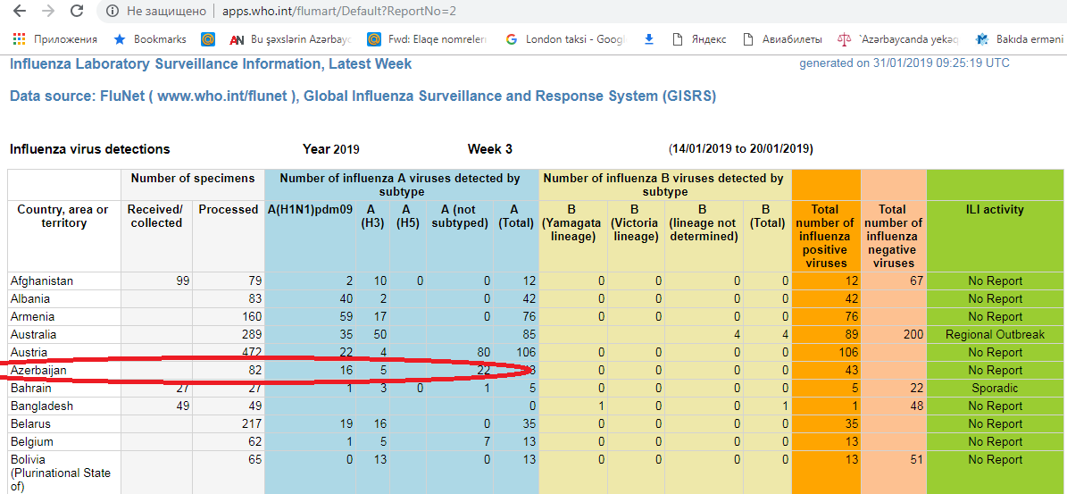 Azərbaycanda 16 nəfər donuz qripinə yoluxub? -  ÜST məlumat yaydı, nazirlik cavab verdi