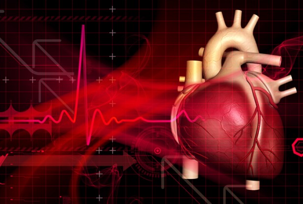 Ürəkdə mitral qapaq çatışmazlığı nədir? –  Revmatizmalı xəstələr risk altındadır