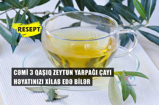 Cəmi 3 qaşıq zeytun yarpağı çayı həyatınızı xilas edə bilər -  RESEPT