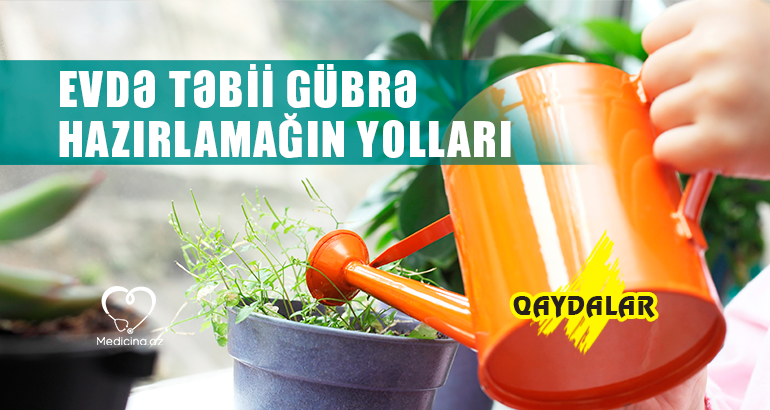 Evdə təbii gübrə hazırlamağın yolları -  QAYDALAR