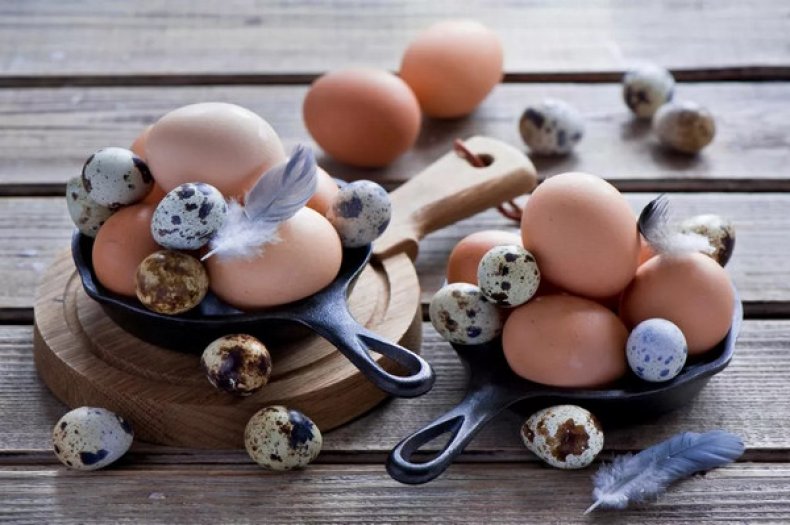 Danışmayan uşağa göyərçin və ya bildirçin yumurtası vermək dilini açırmı? –  Loqopeddən izah