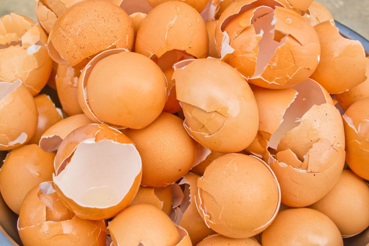 Yumurta qabığının inanılmaz faydaları  