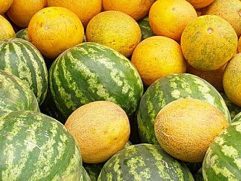 İndiki qarpız və yemişi yemək olmaz  - MÜTƏXƏSİS XƏBƏRDARLIĞI