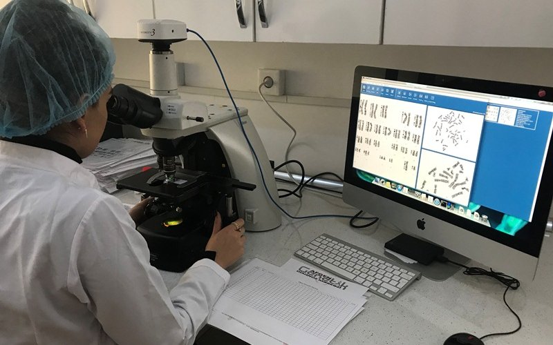 Azərbaycanda dünya səviyyəli genetik diaqnostika - İnsanın genetik kodu oxunur -  VİDEO