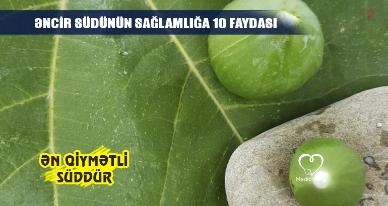 Əncir südünün sağlamlığa 10 faydası –  Ən qiymətli süddür