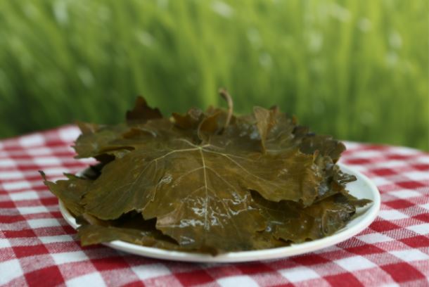 Üzüm yarpağı bu xəstəliklərdən qoruyur 