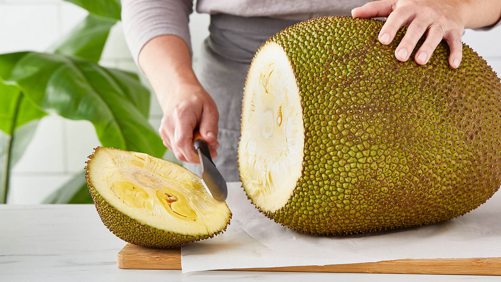  Dünyanın ağacda yetişən ən böyük meyvəsi-Jackfruit -  FAYDALARI