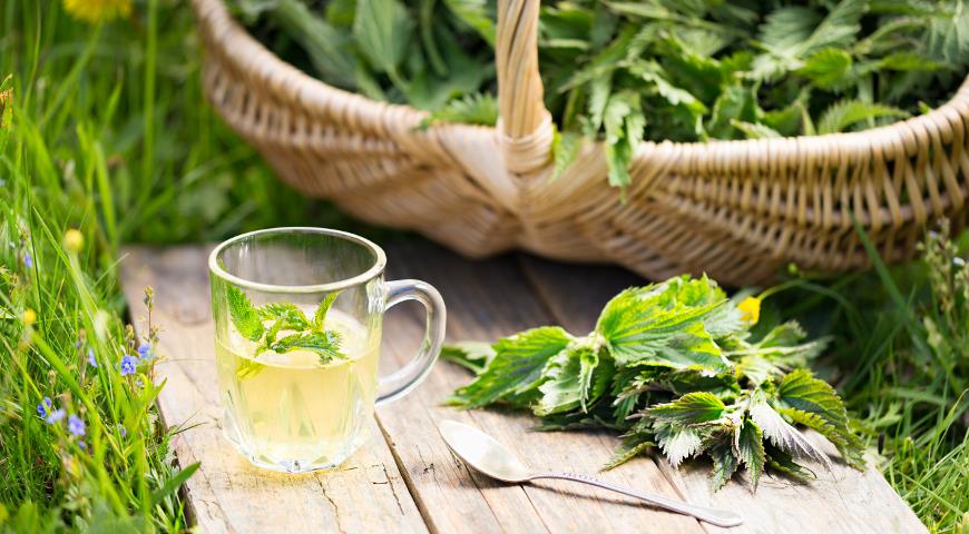 Gicitkan çayının 5 faydası –  Bitki çaylarının ÇEMPİONU