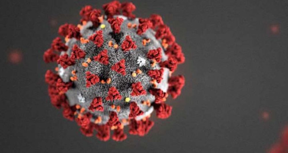 Virus əşyalar üzərində nə qədər müddət yaşayır? –  Virusoloqlar araşdırdı