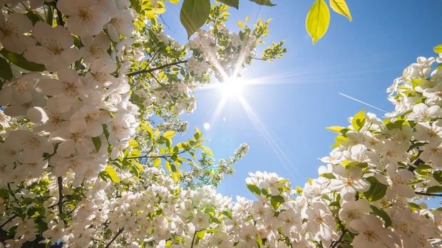  Hava proqnozu –  28 mart 
