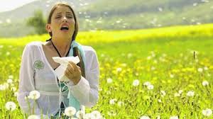 Allergik insanların koronavirus riski yüksəkdir? 