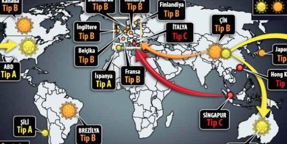 Koronavirusun üç növü müəyyən edilib    - Növlərin dünyada yayılma XƏRİTƏSİ