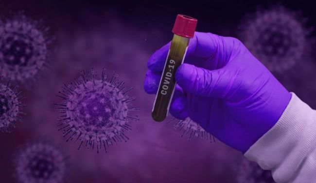İndiki koronavirus əvvəlkindən daha aqressivdir  –  SƏBƏB