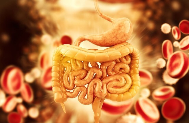 Sağalmaz hesab olunan KRON xəstəliyi  - Bağırsaqların iltihabı niyə yaranır?