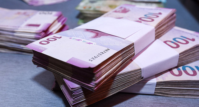 Bu il COVID-19-la mübarizəyə 261 milyon manat ayrıldı  