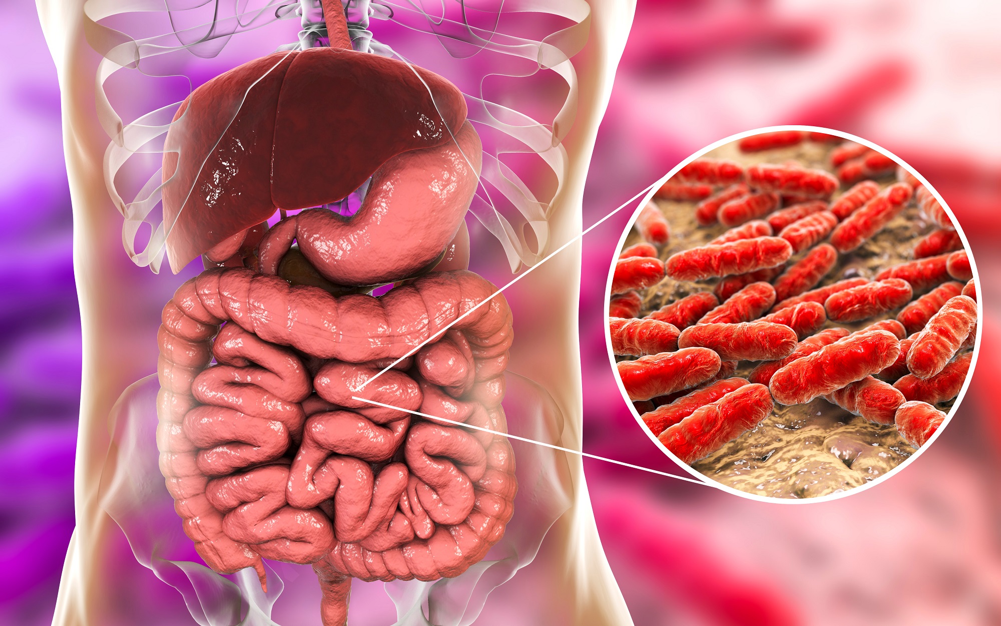 Antibiotiklərin məhv etdiyi bağırsağı necə bərpa etməli? - Korona xəstələri üçün