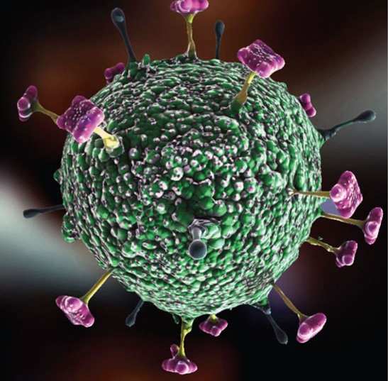 Yeni epidemiya hər ay alovlana bilər - ÜST