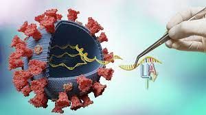 Koronavirus daha dəhşətli mutasiyalaşa bilər  –XƏBƏRDARLIQ