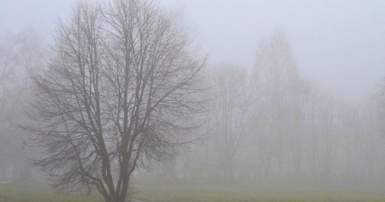 Bakı və Abşeronda toz dumanı müşahidə edilir 