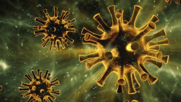 Hindistanda koronavirusun yeni ştammı tapıldı  