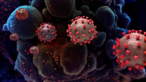 Koronavirus ştammları yunan hərfləri ilə adlandırılacaq -  ÜST