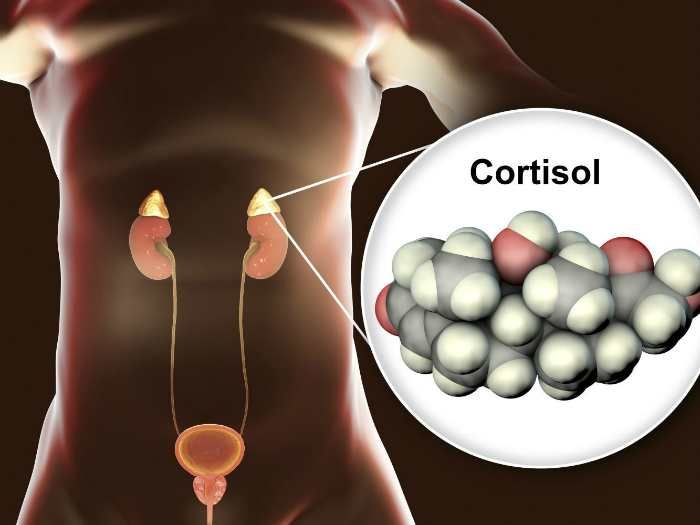 Stress hormonu: Kortizol - çox xəstəliklərin səbəbkarı  - Necə idarə edək?