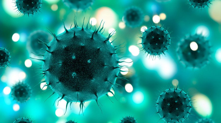 Hindistanda dünyanın ən təhlükəli virusu aşkarlandı 