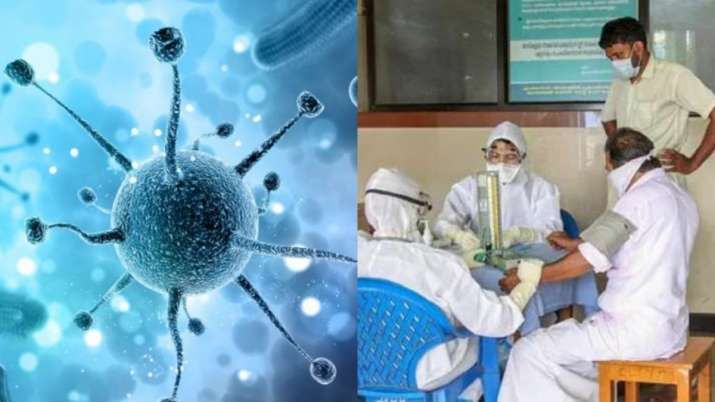 Hindistanda qorxulu Nipah virusu yayılır -  Siçanlardan yoluxma