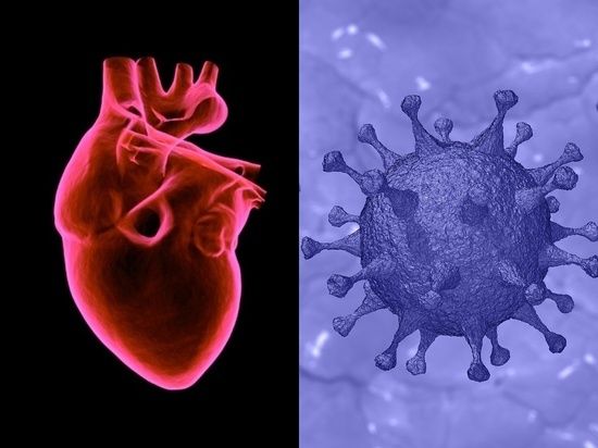 Koronavirus ürəyin əzələ qatının zədələnməsinə səbəb olur -  Kardioloq