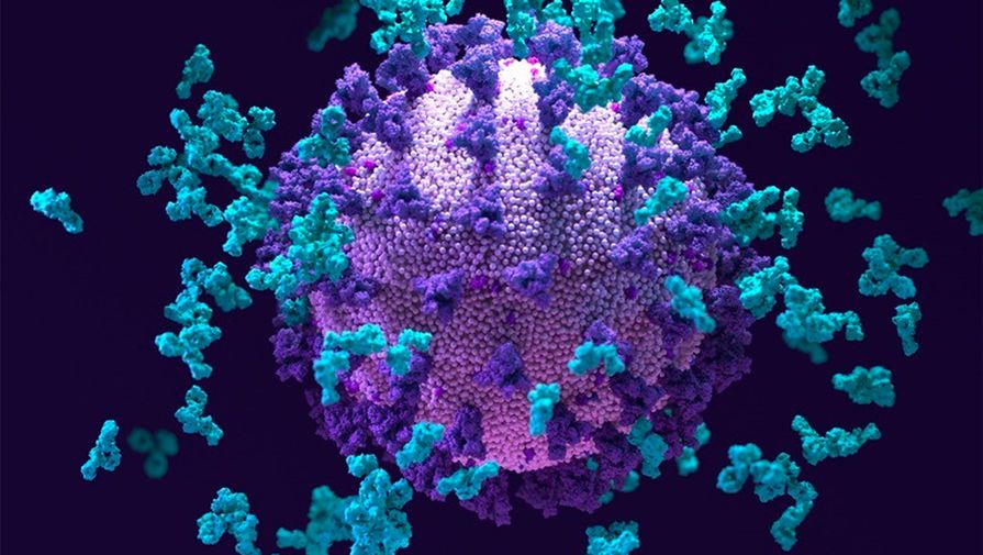 Qazaxıstanda koronavirusun “Eta” ştammı aşkarlandı 