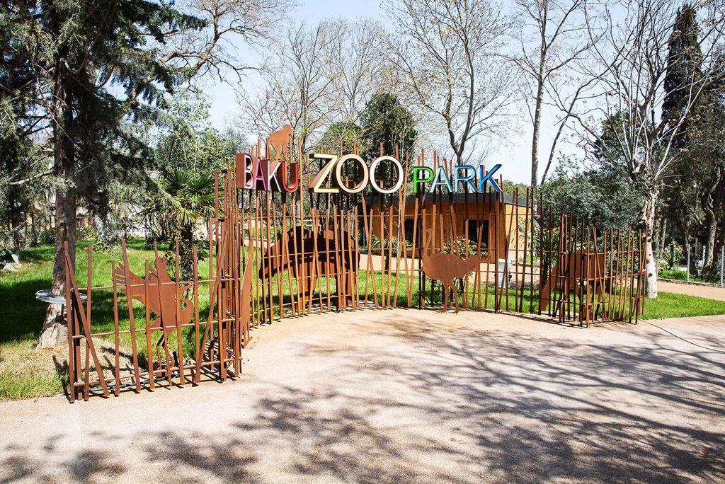 Bakı zooparkında COVID-19 pasportu tələb olunacaq? -  Açıqlama