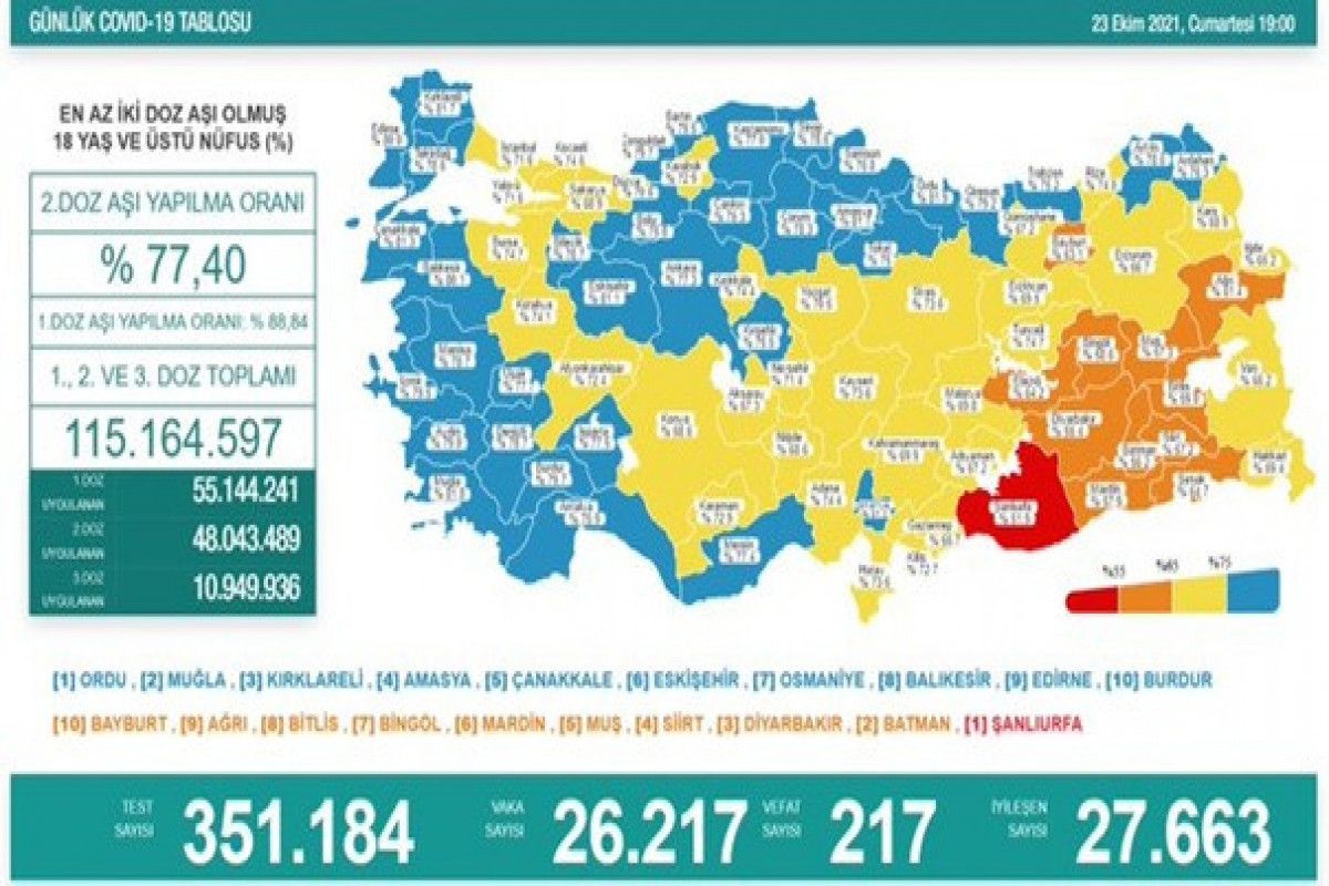 Türkiyədə 217 nəfər koronanın qurbanı oldu 