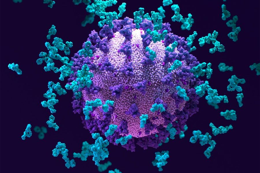 Koronavirusun daha bir yeni ştammı yarandı 