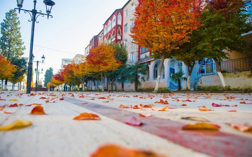 Sabahın hava proqnozu 