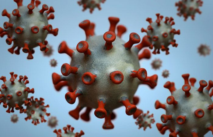 Növbəti koronavirus bu heyvandan yayılacaq - Alimlər