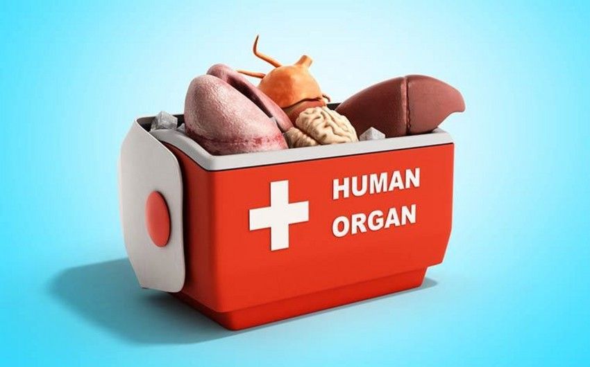 Orqan transplantasiyası ilə bağlı etika komissiyası  - Yaradıldı